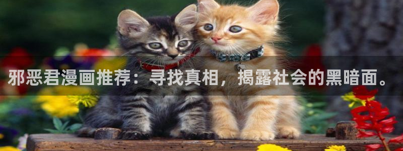 拷贝漫画繁体字下载