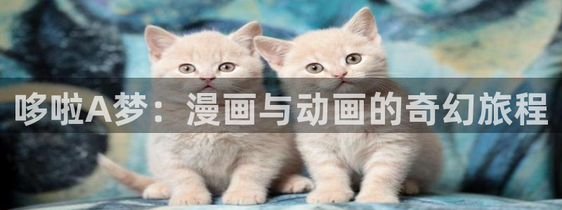 拷贝漫画 无广告