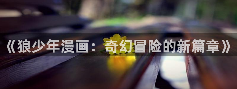 拷贝漫画下载2.2.9