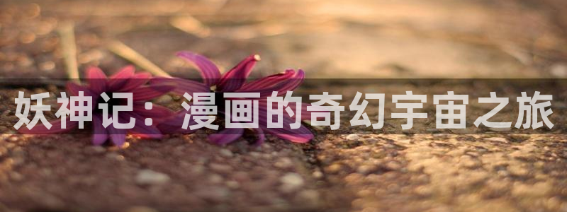 拷贝漫画入口网站安卓版