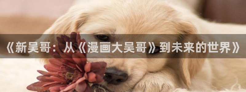 拷贝漫画官方下载最新版本